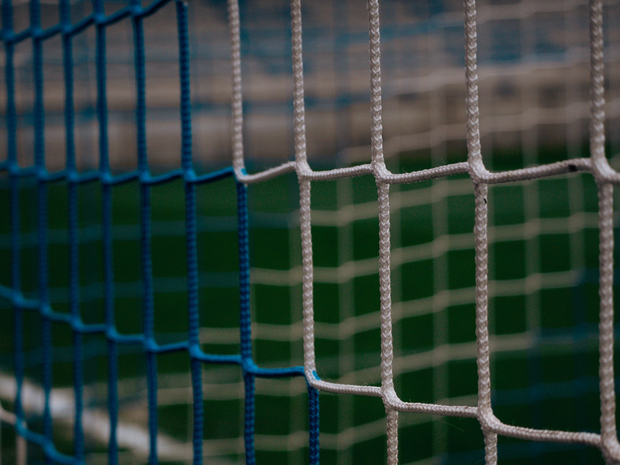 Positief Licentieadvies voor FCV Dender EH: Seizoen 2024-2025