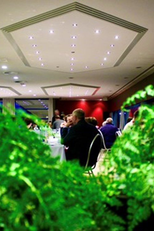 Img 5549